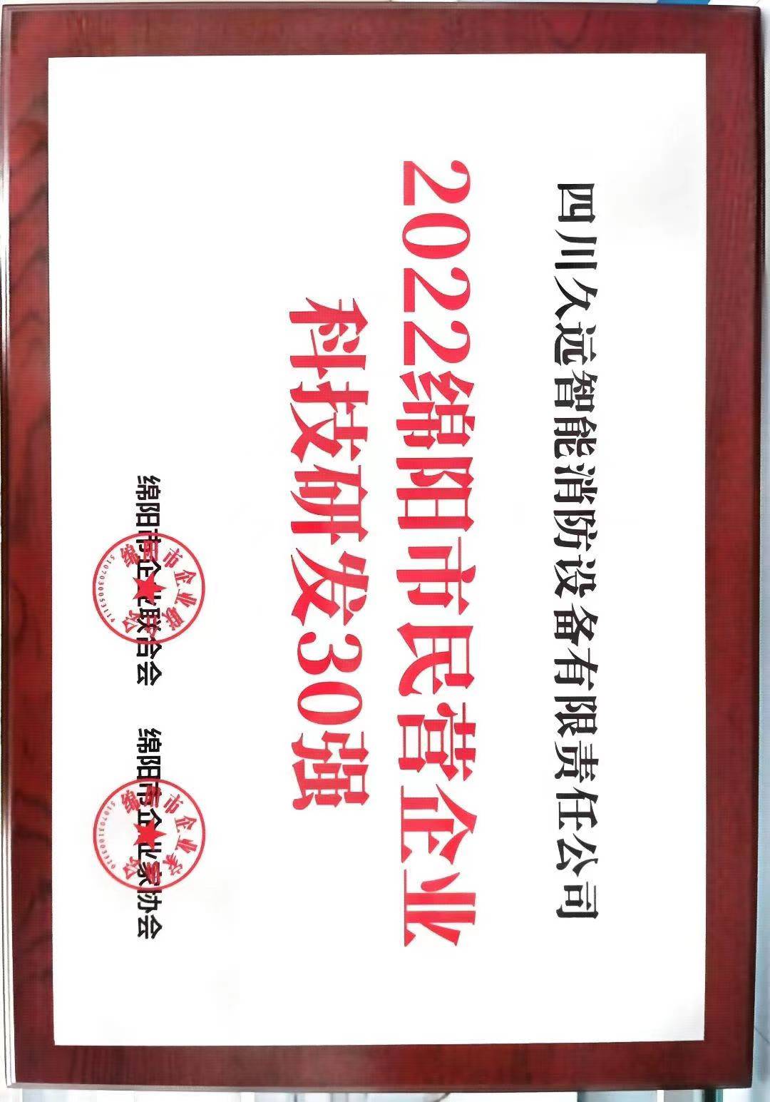 2022綿陽(yáng)市民營(yíng)企業(yè)科技研發(fā)30強(qiáng)