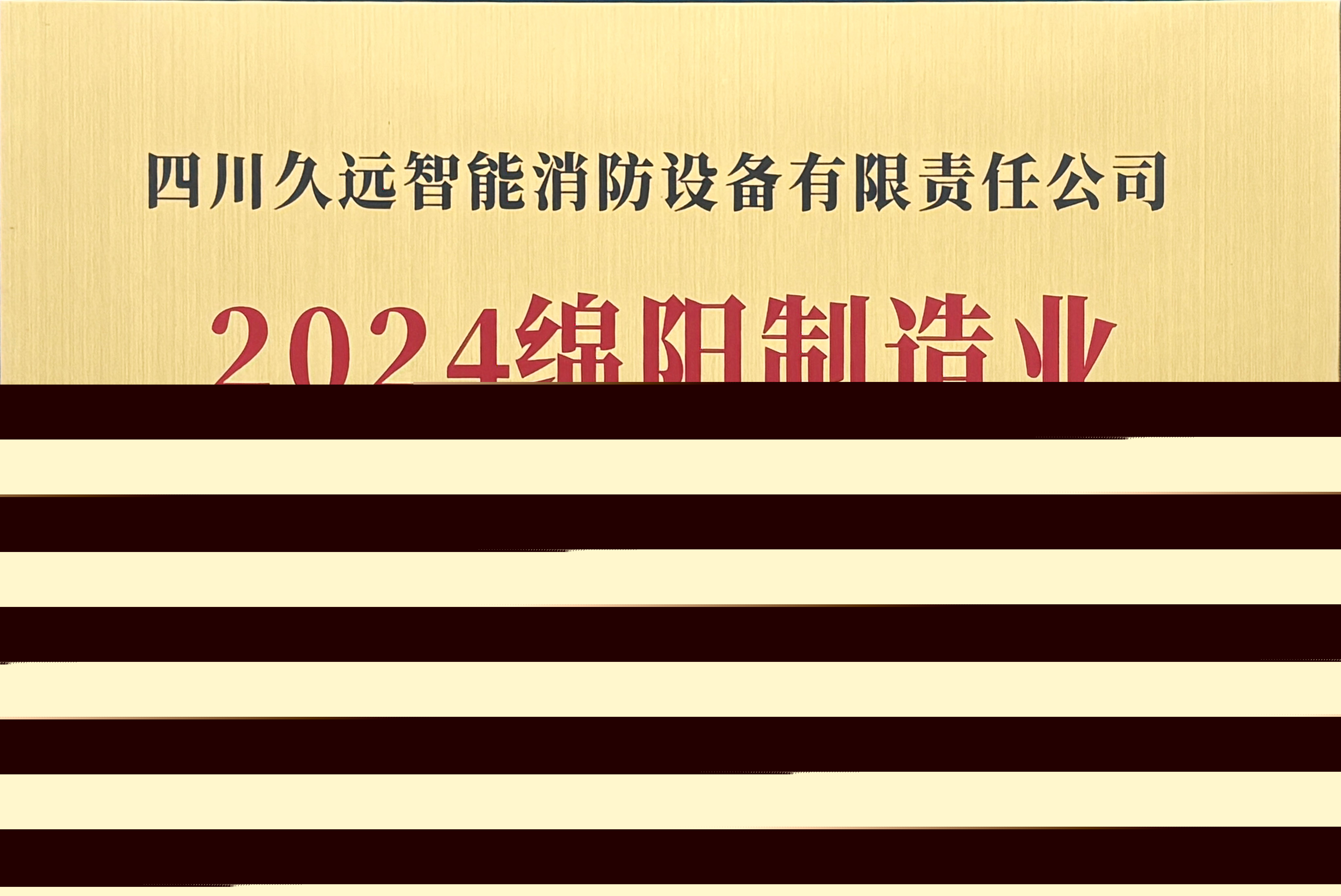 綿陽(yáng)制造業(yè)企業(yè)50強(qiáng)