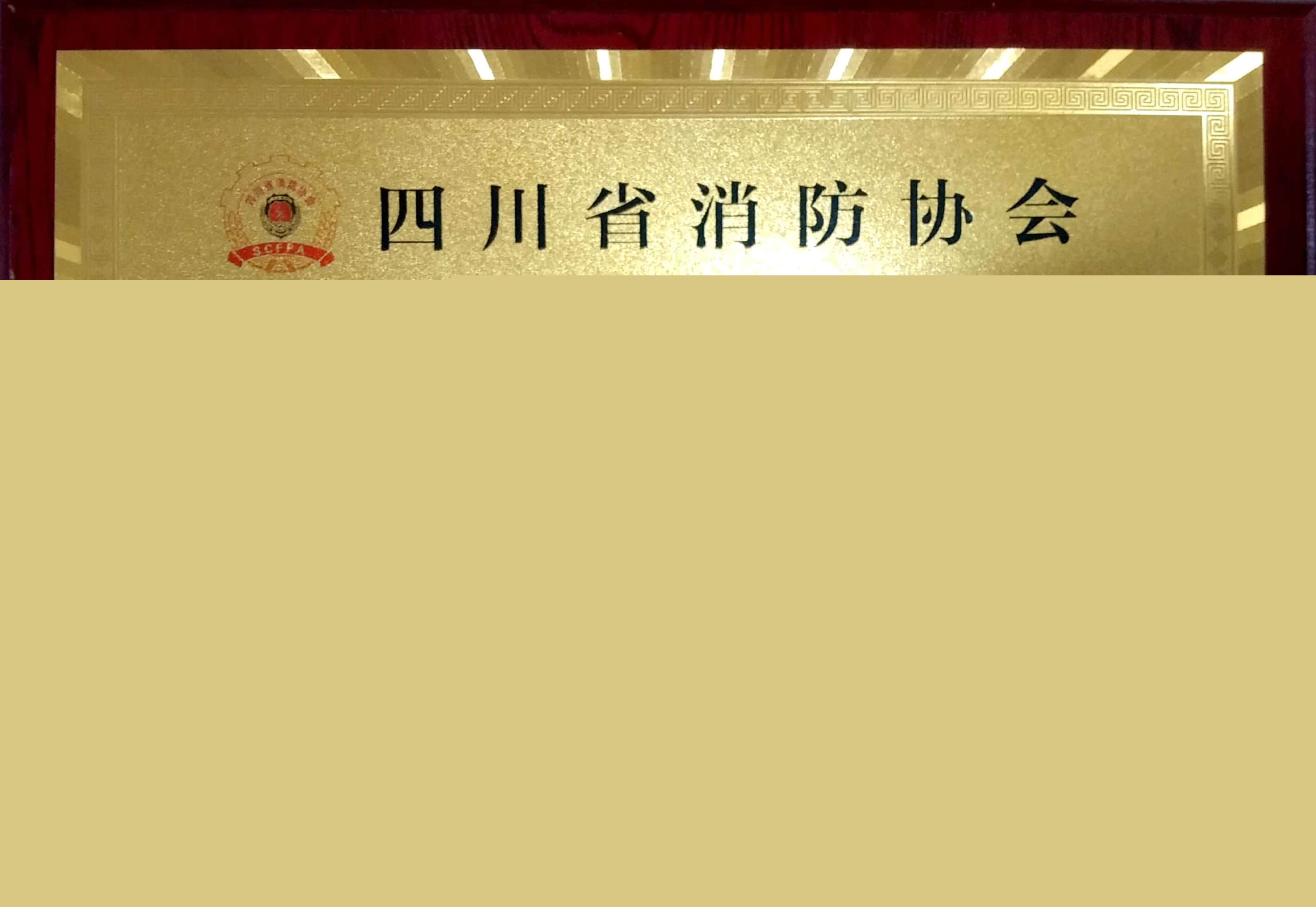 19年年度消防理事協(xié)會(huì)